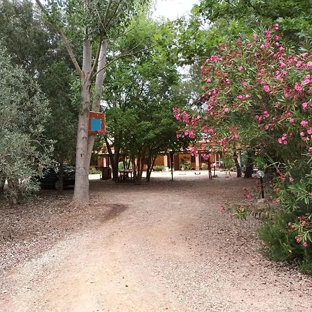 Agriturismo La Barca In Secca Olmedo Εξωτερικό φωτογραφία