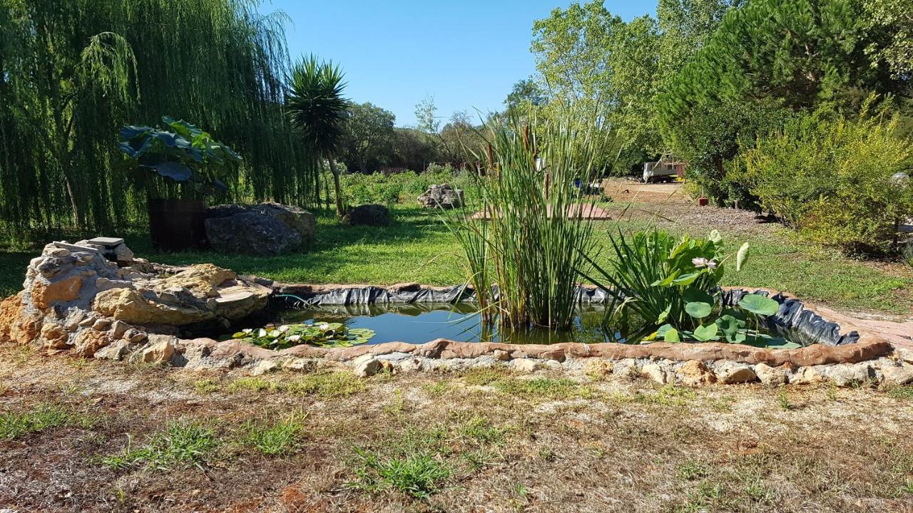 Agriturismo La Barca In Secca Olmedo Εξωτερικό φωτογραφία